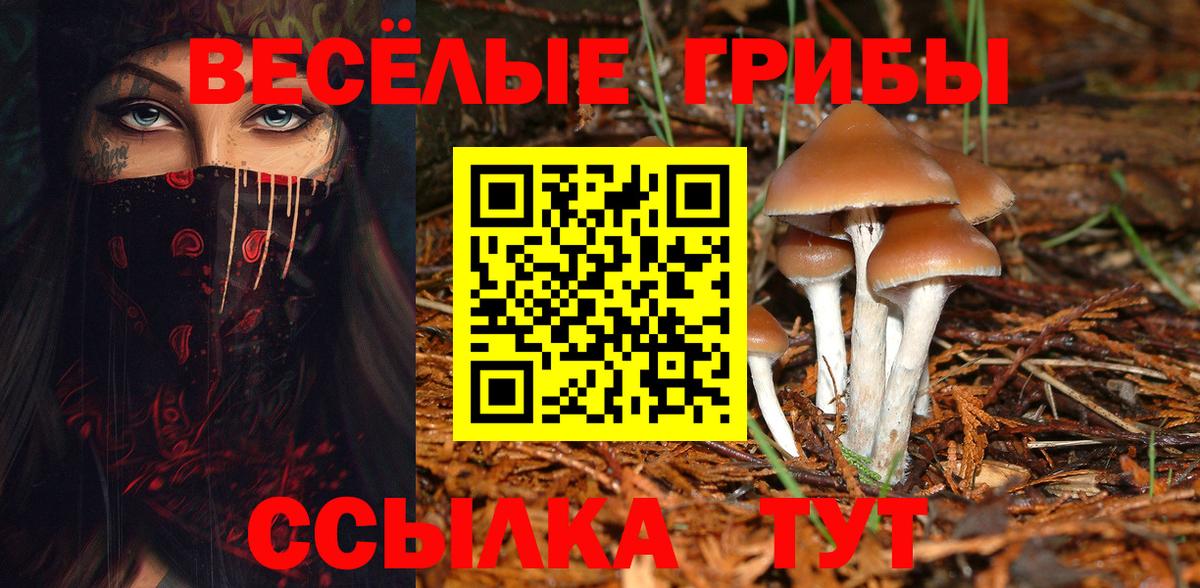 купить наркотики цена  Псилоцибиновые грибы Magic Shrooms  Вход с VPN  Якутск 